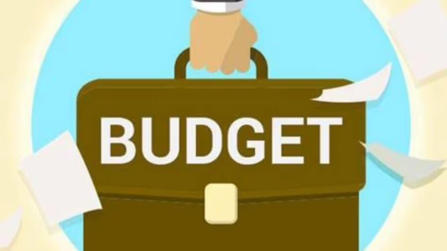 How is the Union Budget FY2025 Different?